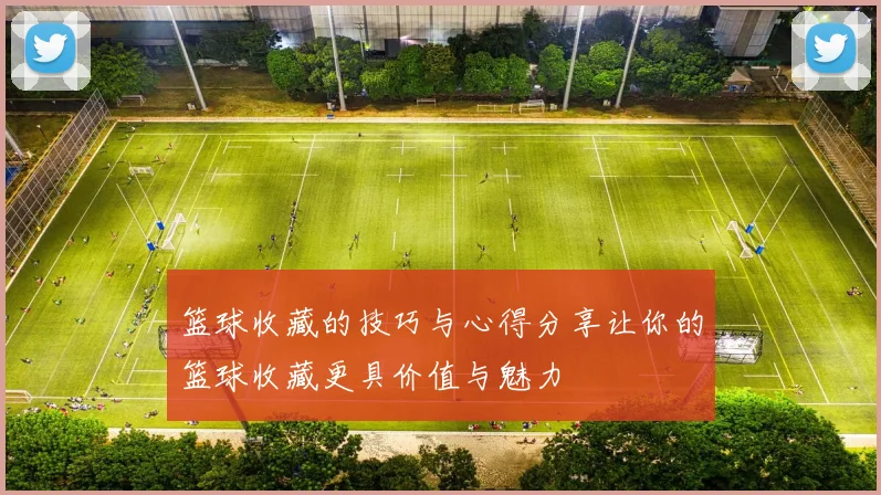 篮球收藏的技巧与心得分享让你的篮球收藏更具价值与魅力