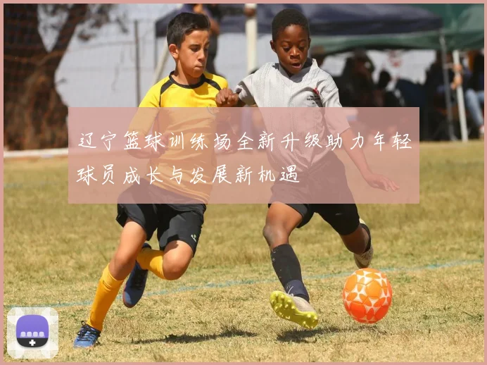 辽宁篮球训练场全新升级助力年轻球员成长与发展新机遇