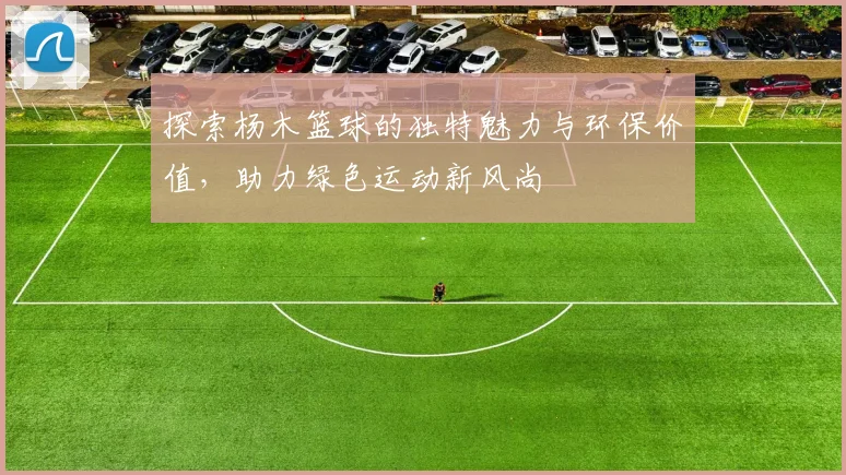 探索杨木篮球的独特魅力与环保价值，助力绿色运动新风尚