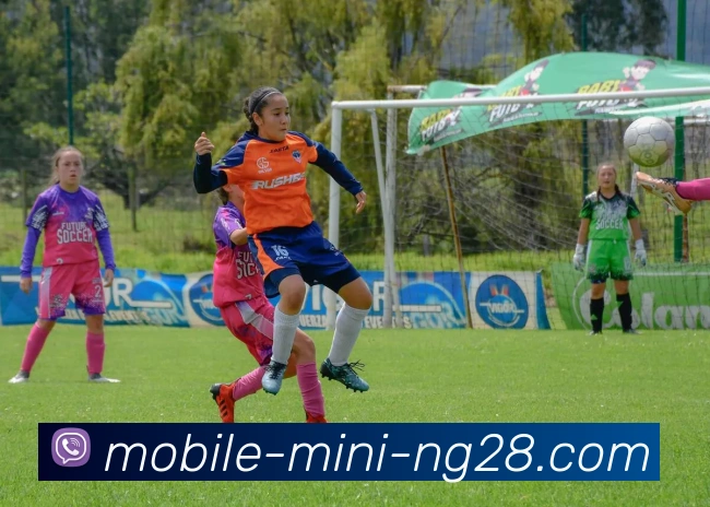 多媒体互动体验